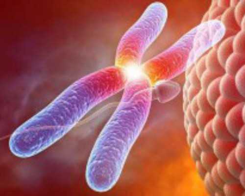 北京能助孕的公司有哪些,在北京三院做试管婴儿大概需要多少钱啊？5万够吗？