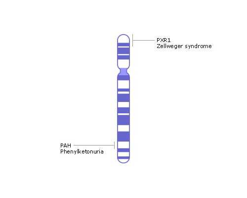 北京代怀花费,北京大学深圳医院