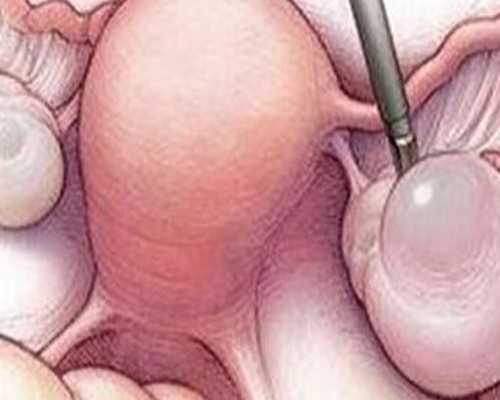 试管婴儿冷冻胚胎能保存多久？*代生孩子收费