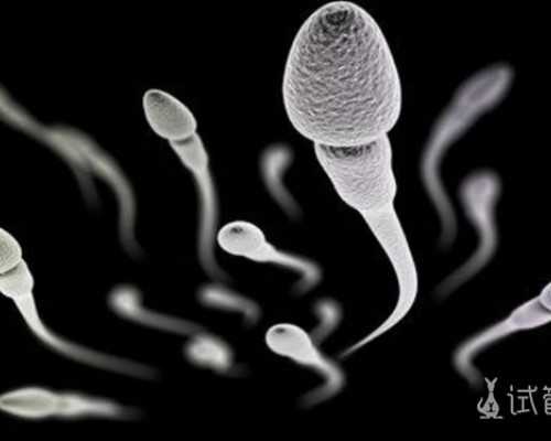 “拼娃”出大招北京做试管婴儿将纳入医保下一个是谁？