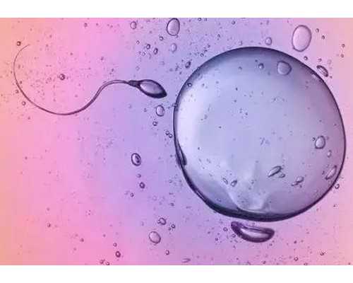 北京助孕包生男孩|北京301试管,301解放军总医院试管怎么样