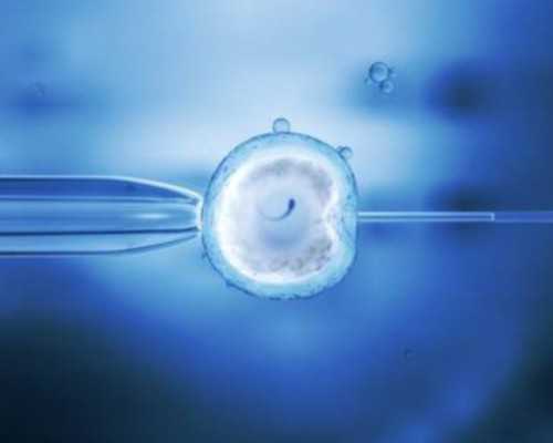 北京代怀孩子费用,北京协和医院供卵试管多少钱？北京协和医院供卵试管多少