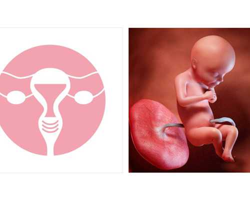 产后瘦肚子瑜伽的招式小编教你5招式