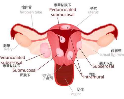 北京代生哪家专业,北京三代试管婴儿价格多少2026北京供卵试管机构Top5榜单