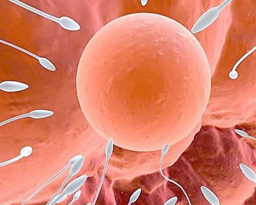 北京做试管代生要检查什么,2026年非婚生子随母姓落户北京的最新规定是什么？