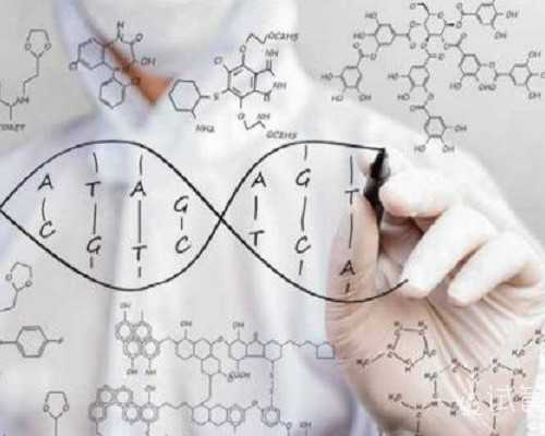 北京第三代试管花费多少，需要请翻译吗？