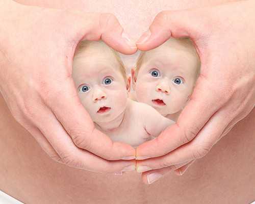 北京借卵子代孕试管婴儿|2026洛阳供卵三代试管婴儿医院成功率排名？