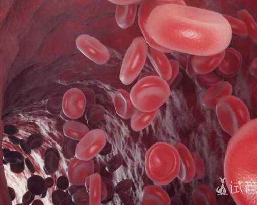 北京助孕中介网址,北京私立医院三代供卵代孕多少钱？