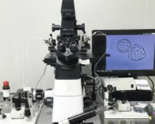 北京专业代孕公司,北京做试管多少钱?