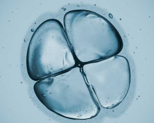 北京代生费用多少,北京治疗儿童口吃的医院