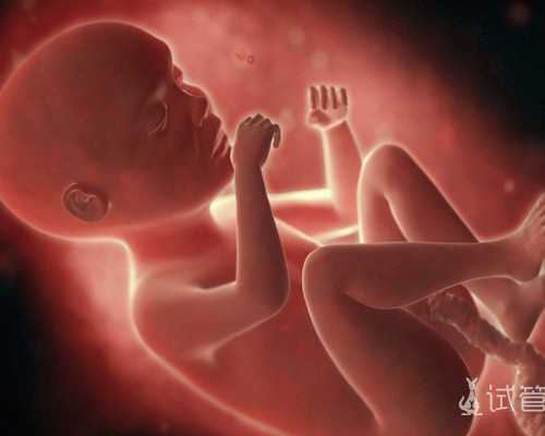 一岁女童发育指标