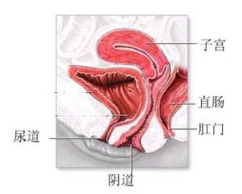 子宫内膜异位症会影响做试管婴儿助孕治疗吗？*代怀公司服务