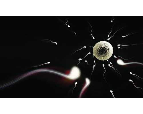 北京供精供卵&北京借卵机构,北京治疗妇科病大概多少钱