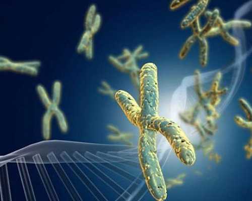 北京北医三院做供精试管，单购买精子大概多少钱？