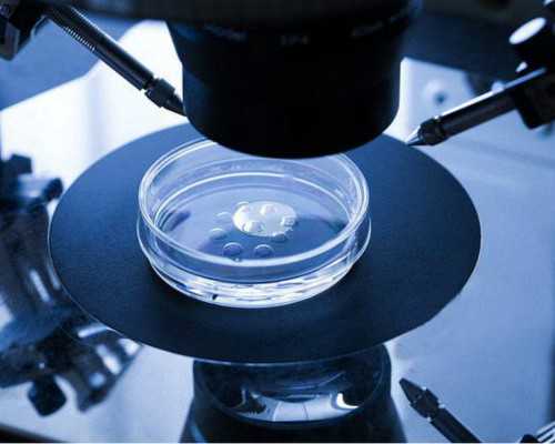 北京试管代生案例,北京供卵试管机构联系方式,北京供卵试管公司机构