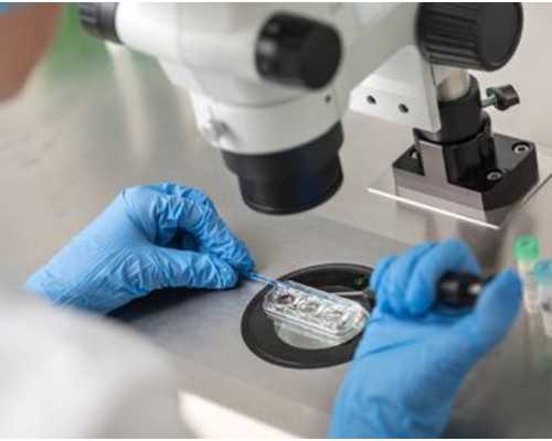 试管婴儿好多钱，做试管婴儿好多钱*代生试管生子