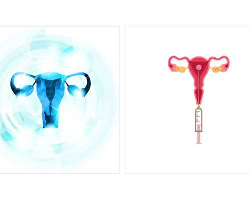 北京有偿代孕医院,北京公立供卵价格，2026年已更新|北京公立有几家