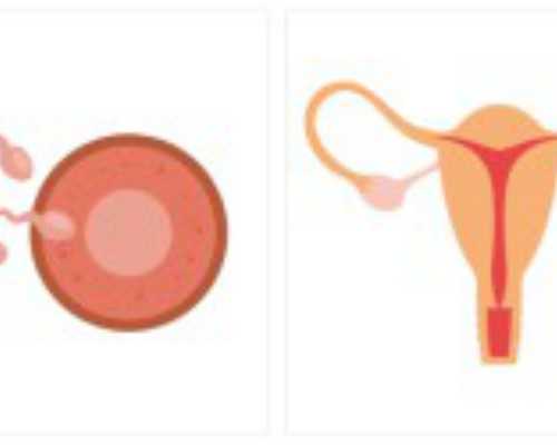 北京供卵助孕案例,北京试管中介