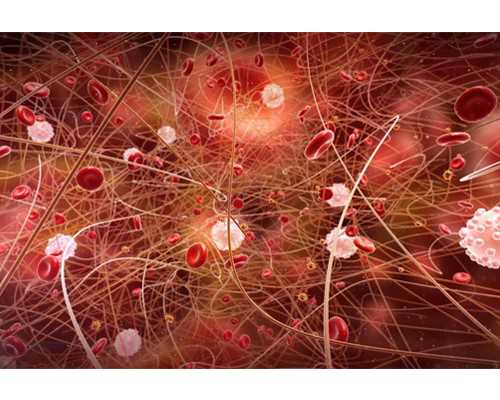 北京第一代怀网,北京试管公司【孕典幸福】