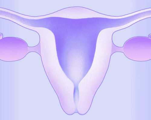 放开二胎43岁试管婴儿（试管婴儿43岁身体正常能放双胎吗）*找人代怀