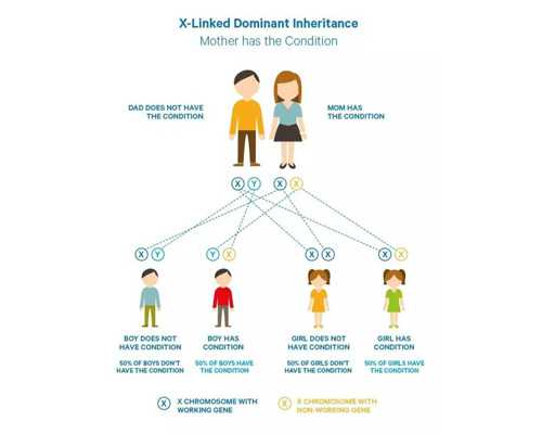 石家庄哪个治疗不孕不育专业有什么样的特色诊疗方法*三代试管婴儿