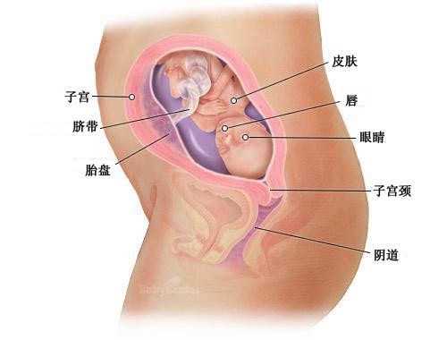 中国代孕网_试管婴儿健康吗？试管婴儿能